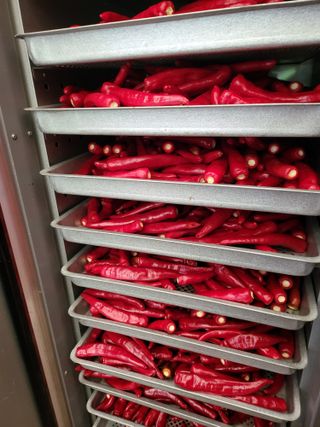 유경임님의 고추 · 영농일지 작성글 사진