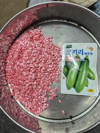 병풍취산채농원님의 기타작물 · 영농일지 작성글 사진