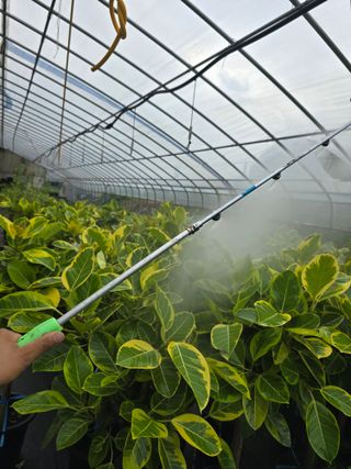 두릅나무15847님의 기타작물 · 영농일지 작성글 사진