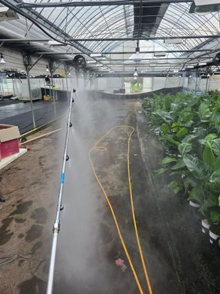 두릅나무15847님의 기타작물 · 영농일지 작성글 사진