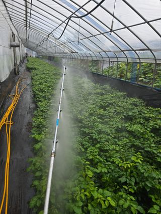 두릅나무15847님의 기타작물 · 영농일지 작성글 사진