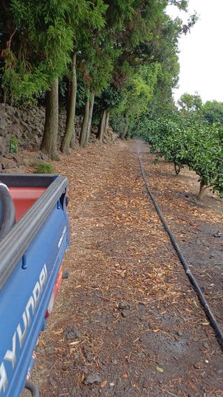 보물섬남자님의 귤 · 영농일지 작성글 사진