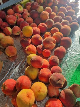 김용대님의 기타작물 · 영농일지 작성글 사진