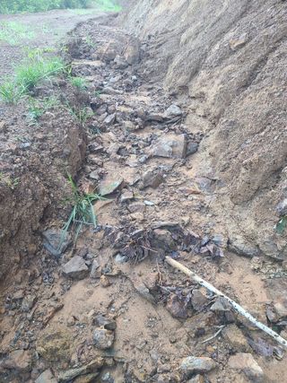 무주설천면 반딧팝님의 기타작물 · 영농일지 작성글 사진