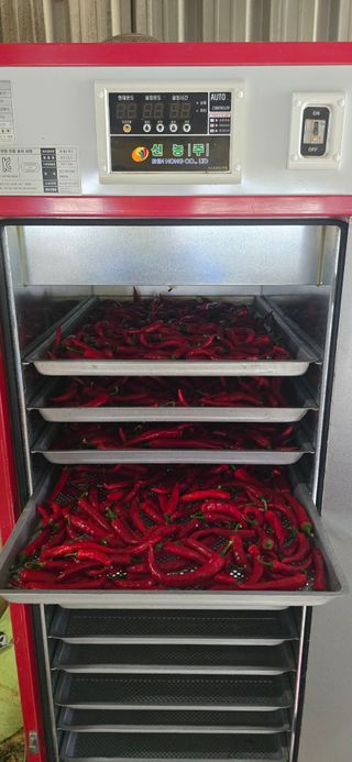 하늘사랑 님의 고추 · 영농일지 작성글 사진