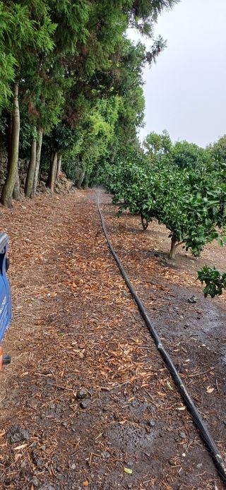 보물섬남자님의 귤 · 영농일지 작성글 사진