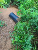 팜모닝 기타작물·영농일지 게시글 이미지