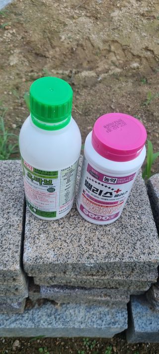 김은희님의 사과 · 영농일지 작성글 사진