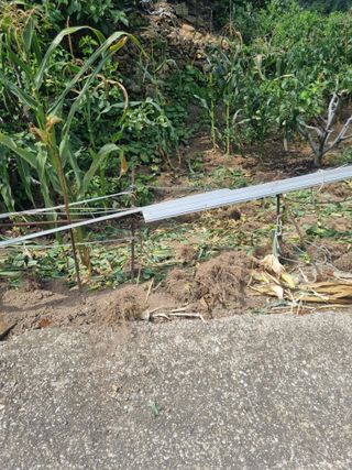 김용대님의 기타작물 · 영농일지 작성글 사진