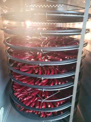 이상숙님의 고추 · 영농일지 작성글 사진