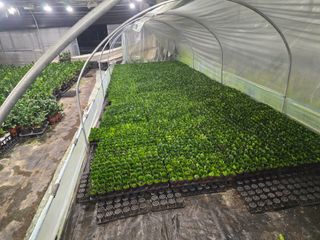 두릅나무15847님의 기타작물 · 영농일지 작성글 사진