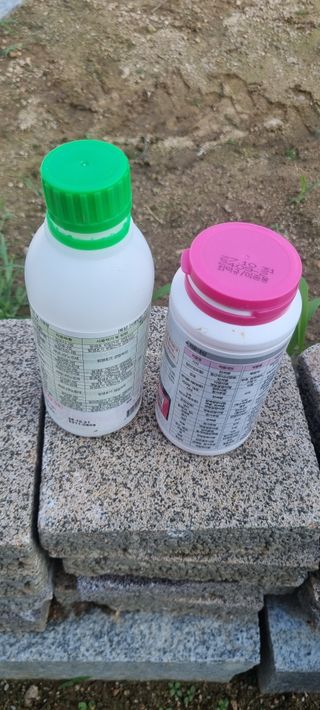 김은희님의 사과 · 영농일지 작성글 사진