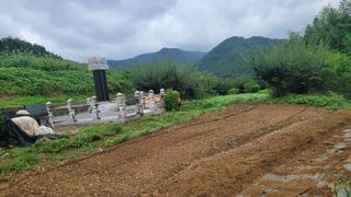 정정치님의 기타작물 · 영농일지 작성글 사진