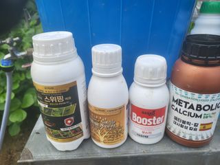 전선경님의 고구마 · 영농일지 작성글 사진