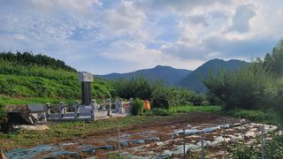 정정치님의 기타작물 · 영농일지 작성글 사진