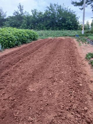 김형수님의 기타작물 · 영농일지 작성글 사진