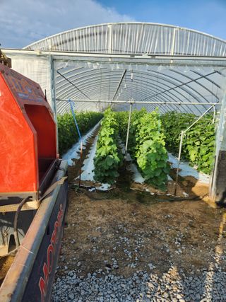 김저팔계님의 기타작물 · 영농일지 작성글 사진