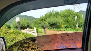 정정치님의 기타작물 · 영농일지 작성글 사진