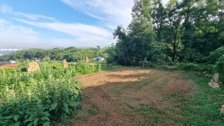 촌사리님의 기타작물 · 영농일지 작성글 사진