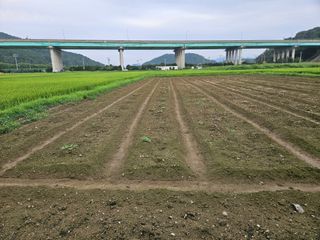 박원봉님의 콩 · 영농일지 작성글 사진