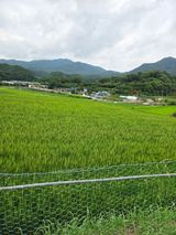 팜모닝 기타작물·영농일지 게시글 이미지