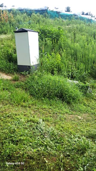 조연만님의 작성글 사진