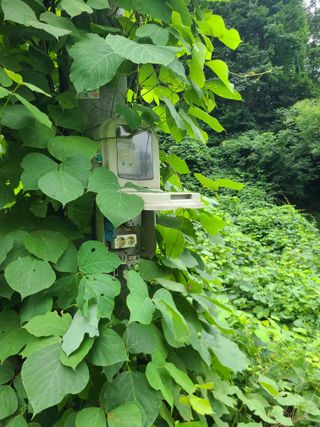 무주설천면 반딧팝님의 기타작물 · 영농일지 작성글 사진