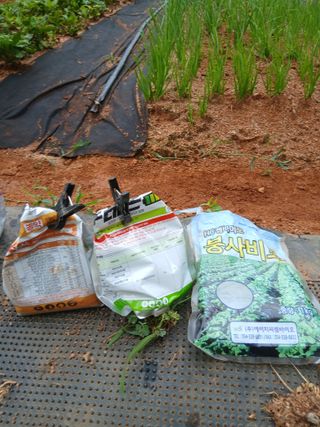 김형수님의 기타작물 · 영농일지 작성글 사진