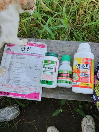 서선옥님의 작성글 사진