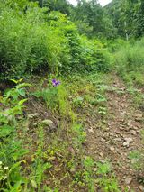 팜모닝 기타작물·영농일지 게시글 이미지