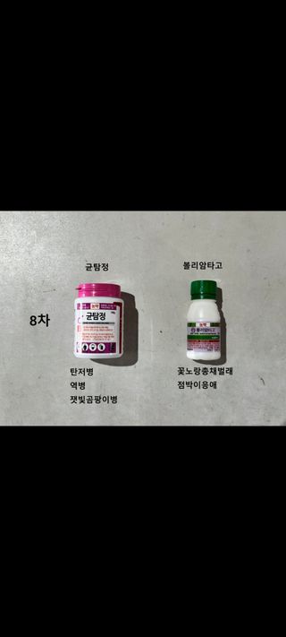 해찬들농원님의 기타작물 · 영농일지 작성글 사진