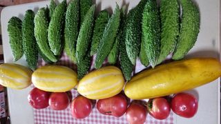 김지철님의 기타작물 · 영농일지 작성글 사진