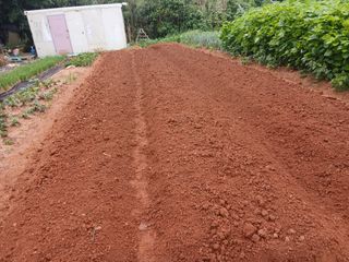 김형수님의 기타작물 · 영농일지 작성글 사진