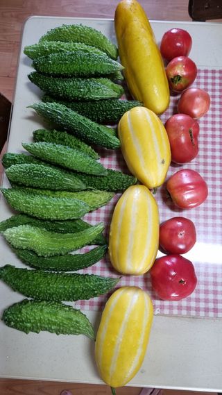 김지철님의 기타작물 · 영농일지 작성글 사진