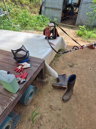 호랑이별님의 기타작물 · 영농일지 작성글 사진