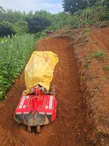 팜모닝 기타작물·영농일지 게시글 이미지