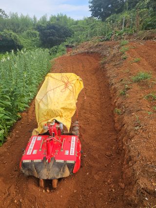 정의영님의 기타작물 · 영농일지 작성글 사진