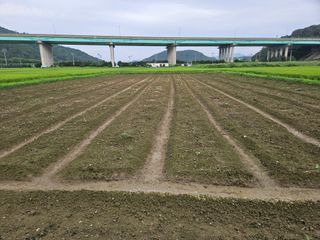 박원봉님의 콩 · 영농일지 작성글 사진