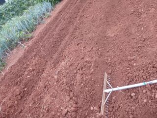 김형수님의 기타작물 · 영농일지 작성글 사진