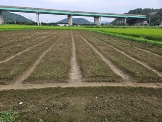 박원봉님의 콩 · 영농일지 작성글 사진