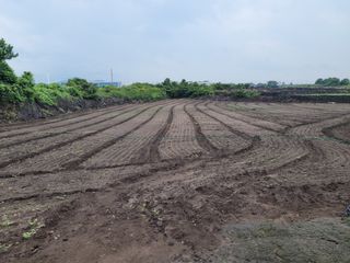 한경훈님의 기타작물 · 영농일지 작성글 사진