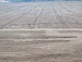 한경훈님의 기타작물 · 영농일지 작성글 사진