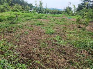 박병한님의 기타작물 · 영농일지 작성글 사진