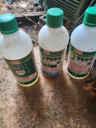 최병우님의 고추 · 영농일지 작성글 사진