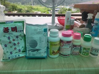 이상욱님의 고추 · 영농일지 작성글 사진