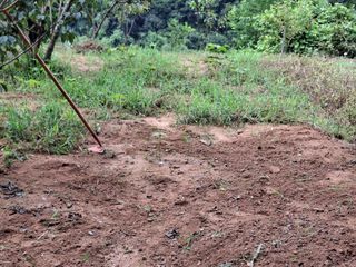 형남영님의 기타작물 · 영농일지 작성글 사진