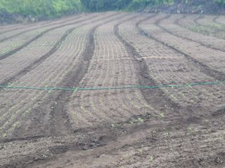 한경훈님의 기타작물 · 영농일지 작성글 사진