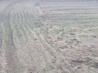 한경훈님의 기타작물 · 영농일지 작성글 사진