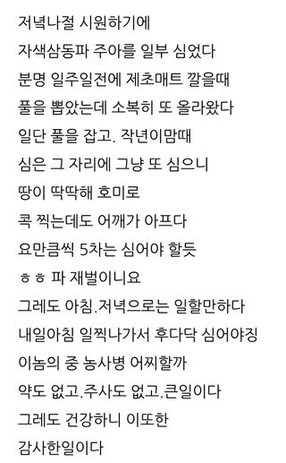 삼성농산님의 파 · 영농일지 작성글 사진