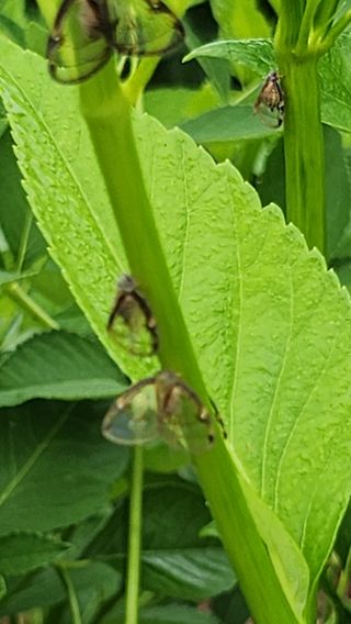 장흥 모경화 님의 기타작물 · 영농일지 작성글 사진